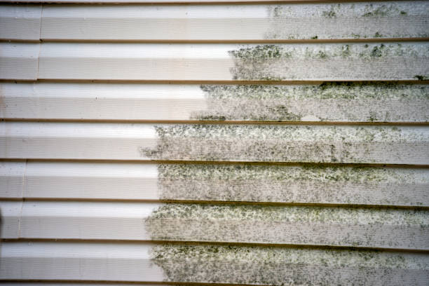 Best Historical Building Siding Restoration  in Creston, OH